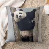 Coussin Young Panda climbing a tree, Chine (Couverture)