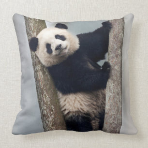 Coussin Young Panda climbing a tree, Chine