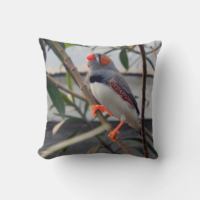 Coussin Zebra Finch (Recto)