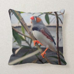 Coussin Zebra Finch