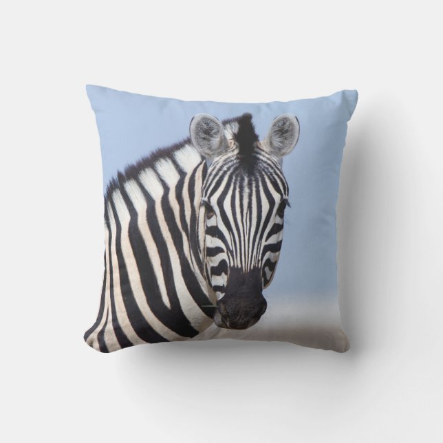 Coussin Zebra vous regarde avec la photo bleu ciel (Recto)