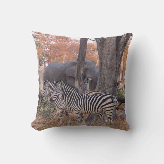 Coussin Zèbre et Eléphants (Recto)