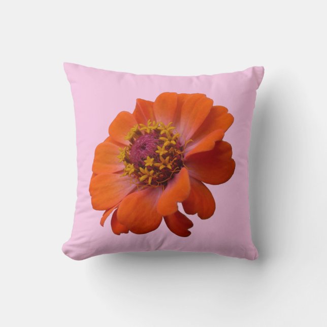 Coussin Zinnia Orange Fleur Sauvage Nature Florale (Recto)