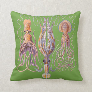 Coussins aquatiques de poulpe de Haeckel de la vie
