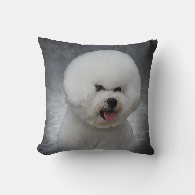 Coussins de Bichon Frise (Recto)