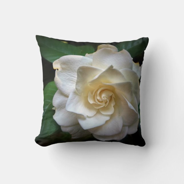 Coussins de fleurs de Gardenia blanches (Recto)