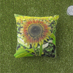 COUSSINS DE JETER EXTÉRIEUR "TOURNESOL"