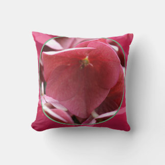 coussins décoratifs