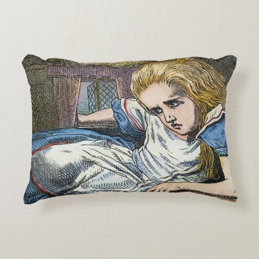 COUSSINS DÉCORATIFS ALICE EN WONDERLAND (Devant)