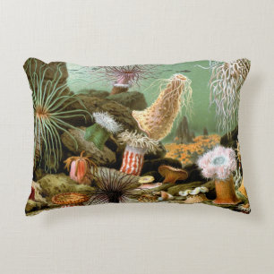 Coussins Décoratifs Anémones de mer Vie marine, Animaux marins vintage