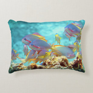 Coussins Décoratifs Anthias - École colorée de poissons à la barrière