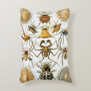 Coussins Décoratifs Araignées ou arachnides vintage par Ernst Haeckel