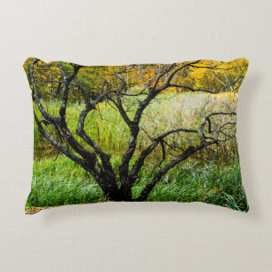 Coussins Décoratifs Arbre de bouleau de Carélie tordu en automne