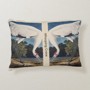 Coussins Décoratifs Art vintage d'Audubon sur la grue criarde et la na