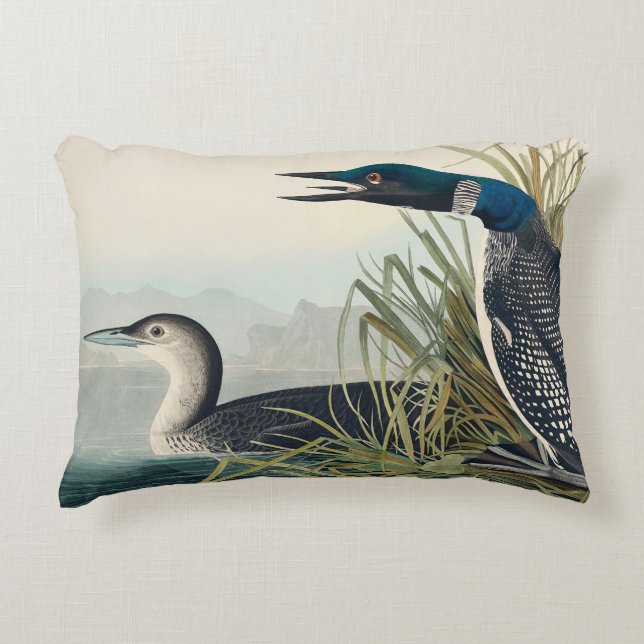 Coussins Décoratifs Audubon Bird Loon Diver Classic (Devant)