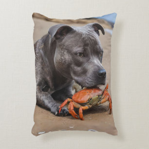 Coussins Décoratifs "Beachside Pals : A Staffy and its Crab Companion"