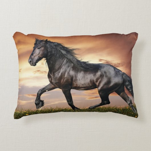 Coussins Décoratifs Beau Cheval Noir (Devant)