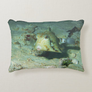 Coussins Décoratifs Boxfish - tellement mignon ! Au-dessus d'une zone