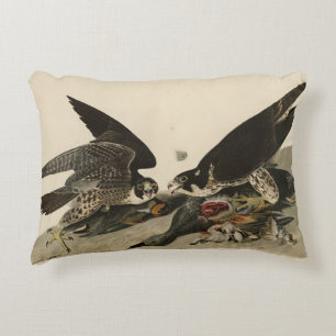 Coussins Décoratifs Buse à pattes géantes des oiseaux d'Amérique d'Aud