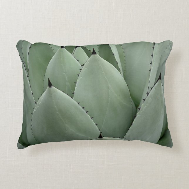 Coussins Décoratifs Cactus vert (Devant)