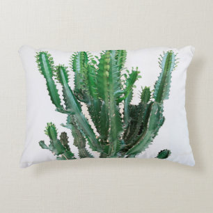 Coussins Décoratifs Cactus vert sur arrière - plan blanc.