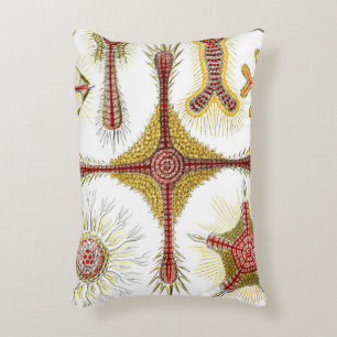 Coussins Décoratifs Camomille sauvage par Ernst Haeckel, Nature vintag