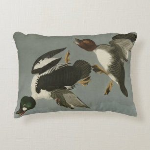 Coussins Décoratifs Canard doré - photo d'Audubon's Birds of America