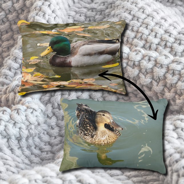 Coussins Décoratifs Canards colverts dans l'eau à l'automne Pittoresqu (Créateur téléchargé)