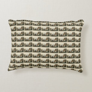 Coussins Décoratifs Canvas Duck d'Audubon's Birds of America