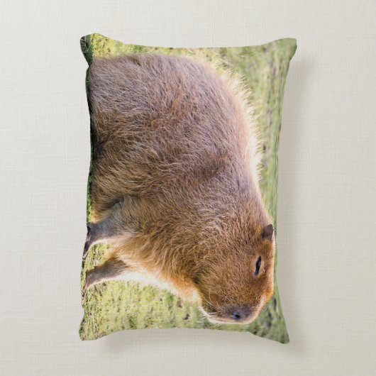 Coussins Décoratifs Capybara Cushion (Dos(Vertical))
