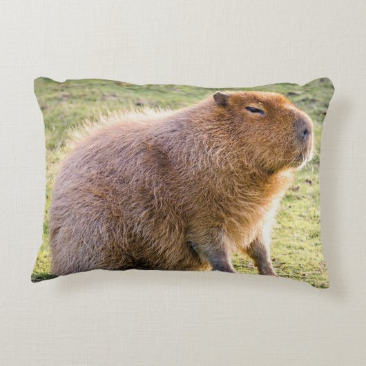 Coussins Décoratifs Capybara Cushion (Dos)