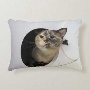 Coussins Décoratifs Cat