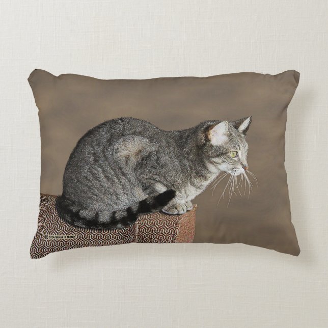 Coussins Décoratifs Chat Tabby Gris Fumé (Devant)
