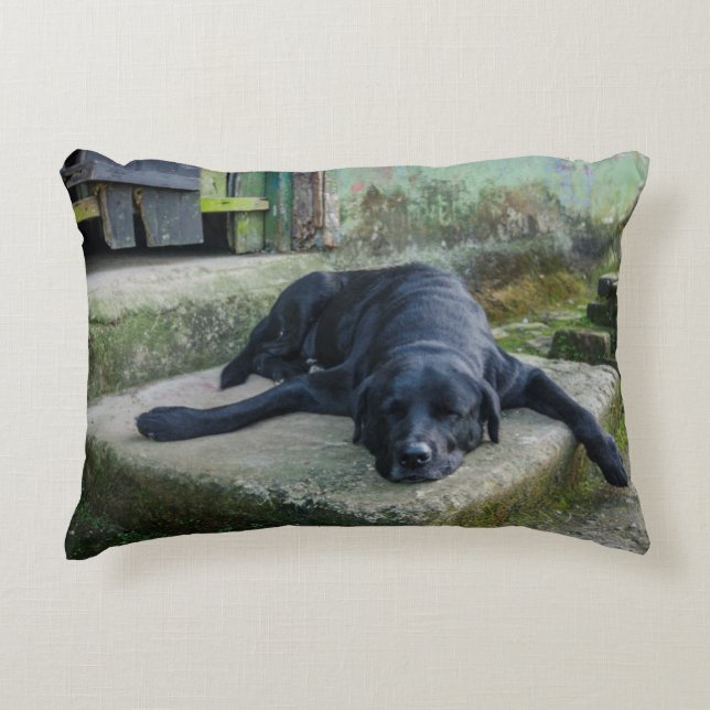 Coussins Décoratifs Chien somnolent (Devant)