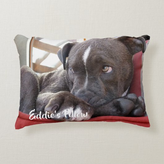 Coussins Décoratifs Chiot Pitbull pour bébé modifiable (Devant)