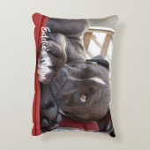 Coussins Décoratifs Chiot Pitbull pour bébé modifiable (Dos(Vertical))