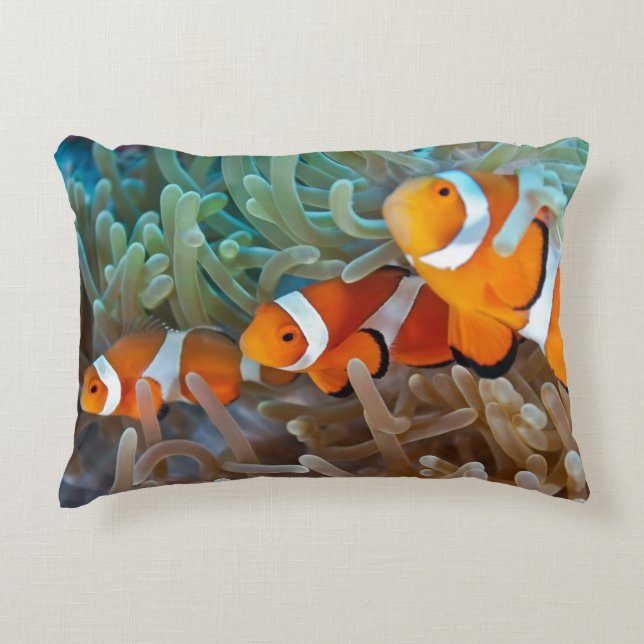Coussins Décoratifs Clownfish (Devant)