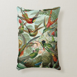 Coussins Décoratifs Colibris par Ernst Haeckel, Oiseaux Vintages