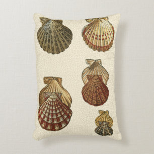 Coussins Décoratifs Coquilles antiques craquelées