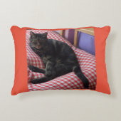 Coussins Décoratifs Cute Dave Accent Cushion (Devant)