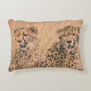 COUSSINS DÉCORATIFS DEUX CHEETAH S'ASSEOIR SUR LE CHAMP LE JOUR
