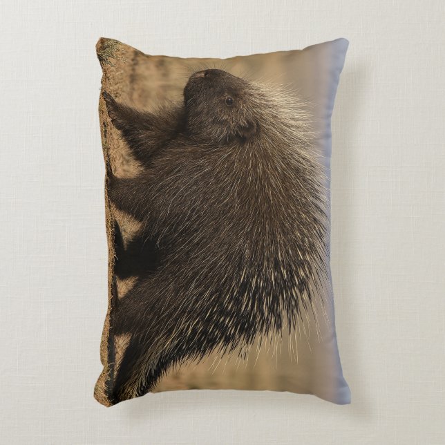 Coussins Décoratifs Dog vs. Porcupine Accent Pillow (Devant(Vertical))