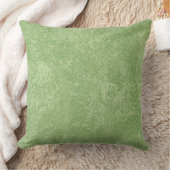 Coussins décoratifs en Tuscan Marmorino vert (Couverture)