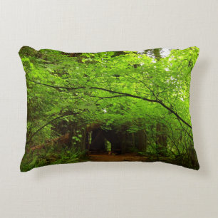 Coussins Décoratifs Érables dans la forêt de séquoias