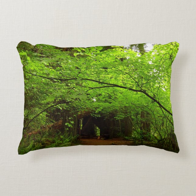 Coussins Décoratifs Érables dans la forêt de séquoias (Devant)