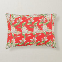 "Étoiles, rayures et nuits douces."