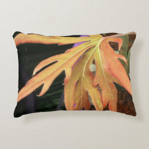 Coussins Décoratifs Étude sur la feuille 2