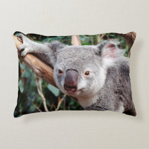 Coussins Décoratifs Featherdale Wildlife Park, Koalas