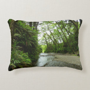 Coussins Décoratifs Fern Canyon II au Parc national de Redwood