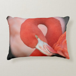 Coussins Décoratifs Flamant rose 001